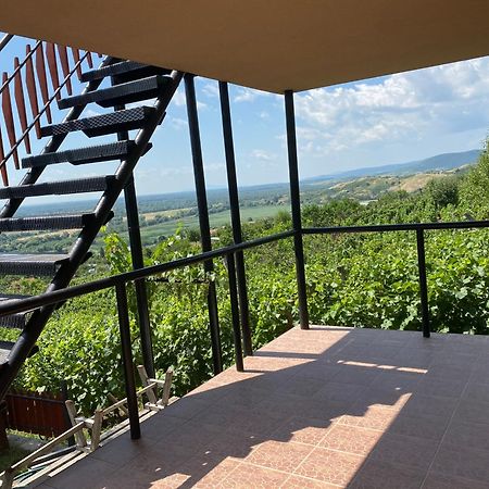 Fehér Szőlő Vendégház Sátoraljaújhely Exterior foto