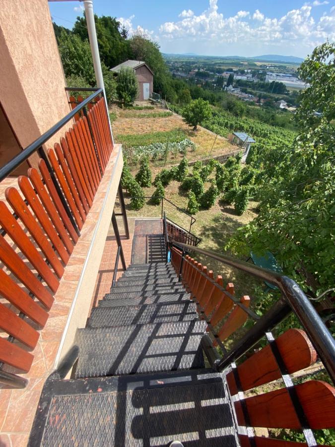 Fehér Szőlő Vendégház Sátoraljaújhely Exterior foto