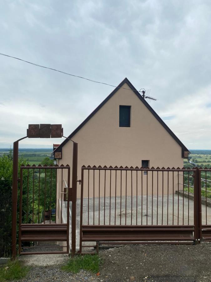 Fehér Szőlő Vendégház Sátoraljaújhely Exterior foto