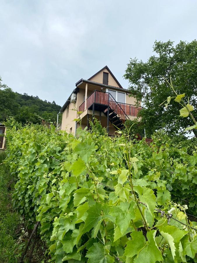 Fehér Szőlő Vendégház Sátoraljaújhely Exterior foto